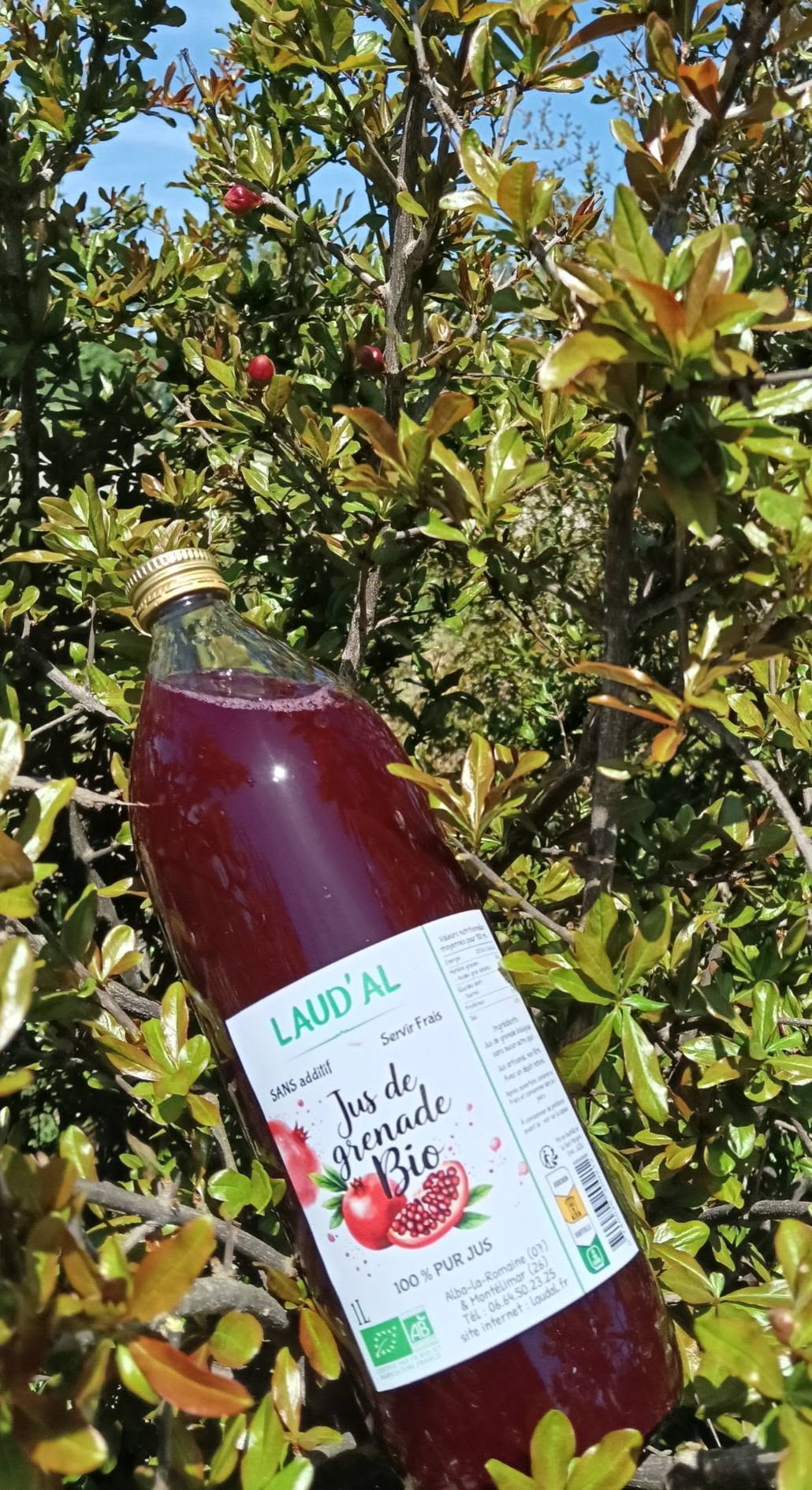 jus de grenade bouteille 3